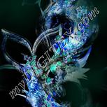 Colour:F