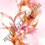 Colour:J