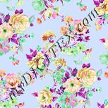 Colour:B