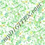 Colour:K