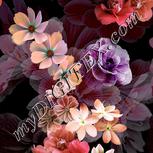 Colour:A
