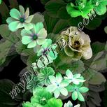 Colour:C