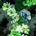 Colour:D