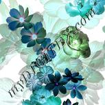 Colour:F