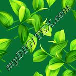 Colour:K