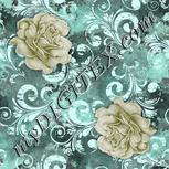 Colour:C