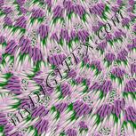 Colour:B