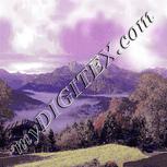 Colour:A