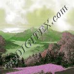 Colour:B