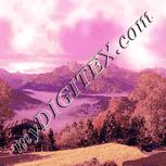 Colour:J