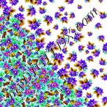 Colour:D