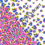Colour:J