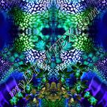 Colour:F
