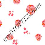 Colour:J