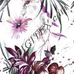Colour:B