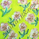 Colour:K