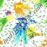 Colour:K
