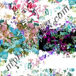 Colour:B
