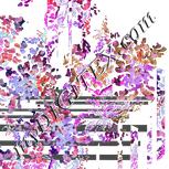 Colour:A