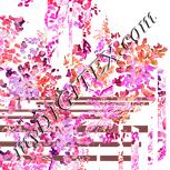Colour:J