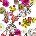Colour:A