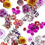 Colour:B