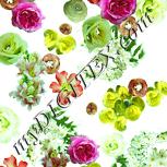 Colour:K