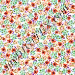 Colour:B