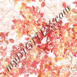 Colour:J