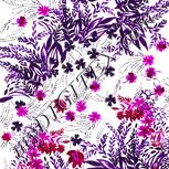 Colour:D
