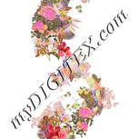 Colour:A