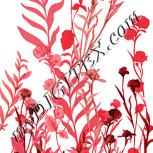 Colour:J