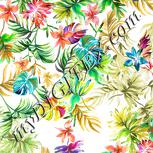 Colour:A