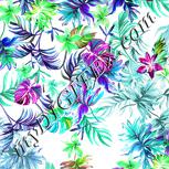 Colour:C