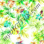 Colour:K