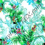 Colour:K