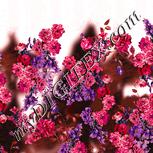 Colour:J