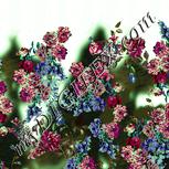 Colour:K