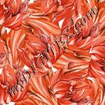 Colour:J