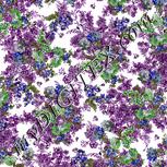 Colour:D