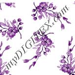 Colour:D