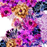 Colour:A
