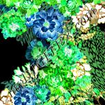 Colour:F