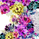 Colour:K