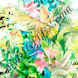 Colour:J