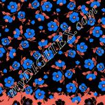 Colour:F