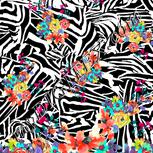Colour:B