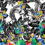 Colour:A