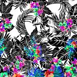 Colour:B