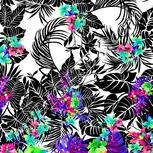 Colour:C